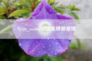 宁夏中国金牌都是啥
