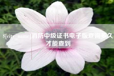 宁夏消防中级证书电子版查询多久才能查到