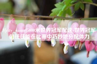 宁夏5000米世界冠军配速-世界冠军们往往能在比赛中巧妙地分配体力