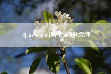 宁夏男子5000米金牌