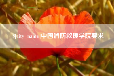 宁夏中国消防救援学院要求