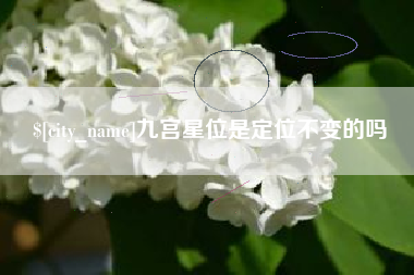 宁夏九宫星位是定位不变的吗