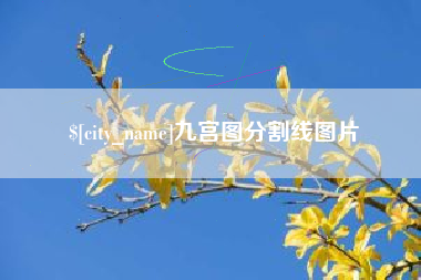 宁夏九宫图分割线图片
