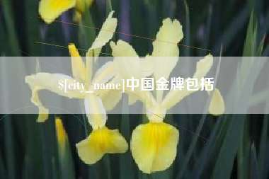 宁夏中国金牌包括