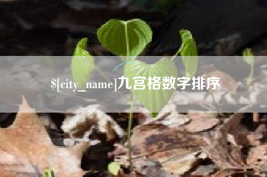 宁夏九宫格数字排序