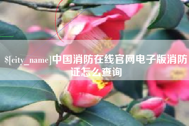 宁夏中国消防在线官网电子版消防证怎么查询