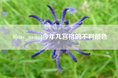 宁夏今年九宫格的不利颜色
