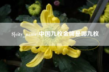 宁夏中国九枚金牌是哪九枚
