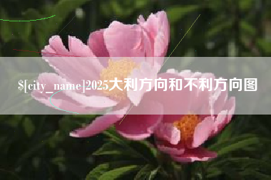 宁夏2025大利方向和不利方向图