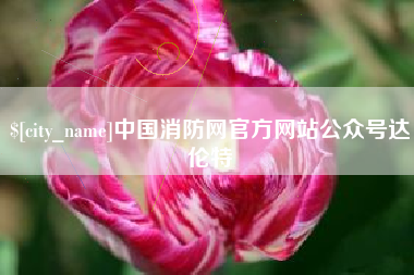 宁夏中国消防网官方网站公众号达伦特