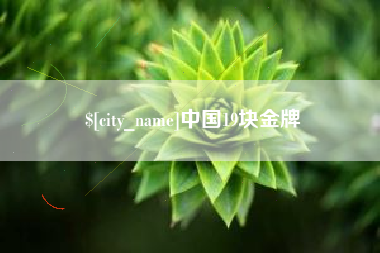 宁夏中国19块金牌