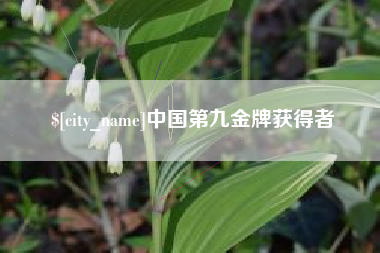 宁夏中国第九金牌获得者