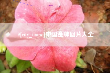 宁夏中国金牌图片大全