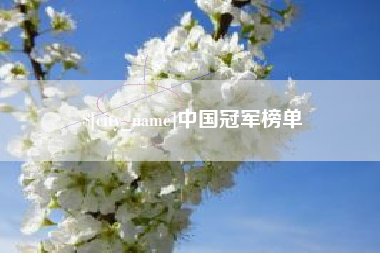 宁夏中国冠军榜单