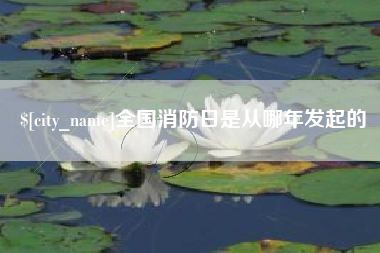 宁夏全国消防日是从哪年发起的