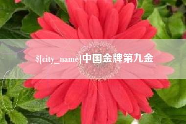 宁夏中国金牌第九金