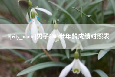 宁夏男子5000米年龄成绩对照表