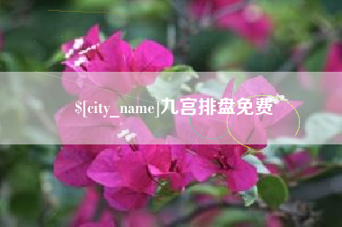 宁夏九宫排盘免费