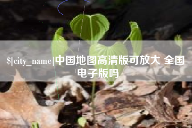宁夏中国地图高清版可放大 全国 电子版吗