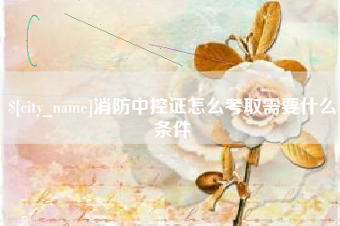 宁夏消防中控证怎么考取需要什么条件