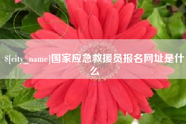 宁夏国家应急救援员报名网址是什么