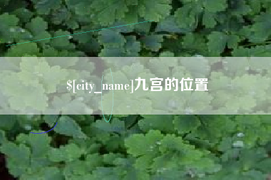 宁夏九宫的位置