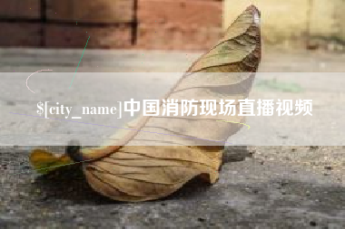 宁夏中国消防现场直播视频