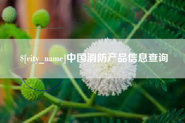 宁夏中国消防产品信息查询