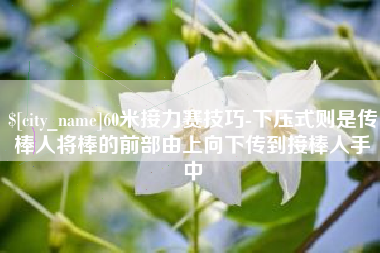 宁夏60米接力赛技巧-下压式则是传棒人将棒的前部由上向下传到接棒人手中