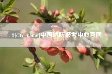 宁夏中国消防报考中心官网
