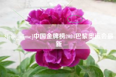 宁夏中国金牌榜2024巴黎奥运会最新