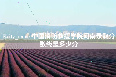 宁夏中国消防救援学院河南录取分数线是多少分