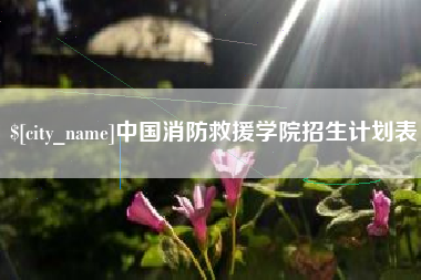 宁夏中国消防救援学院招生计划表