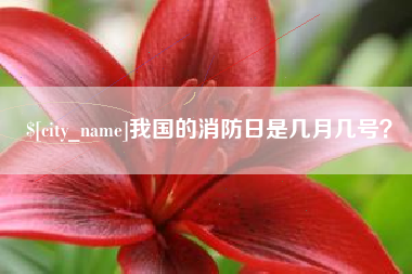 宁夏我国的消防日是几月几号？