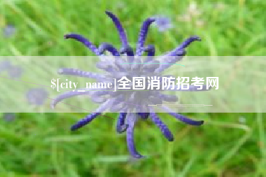 宁夏全国消防招考网