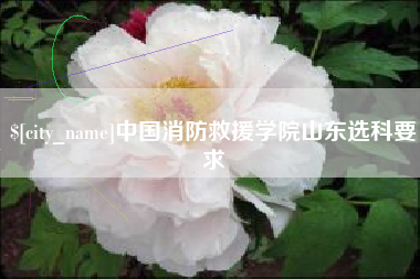宁夏中国消防救援学院山东选科要求
