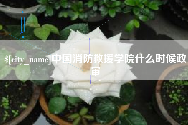宁夏中国消防救援学院什么时候政审