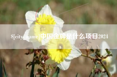 宁夏中国金牌是什么项目2024