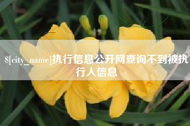 宁夏执行信息公开网查询不到被执行人信息