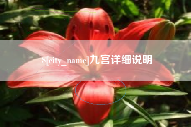 宁夏九宫详细说明