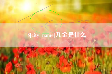 宁夏九金是什么