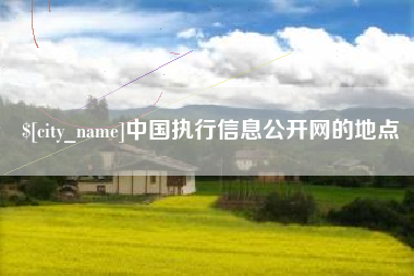 宁夏中国执行信息公开网的地点