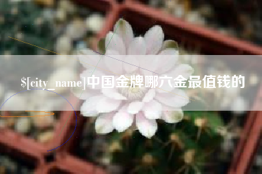宁夏中国金牌哪六金最值钱的