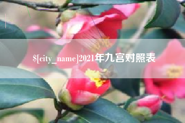 宁夏2021年九宫对照表