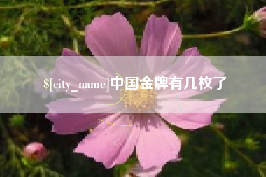 宁夏中国金牌有几枚了