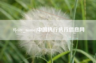 宁夏中国执行执行信息网