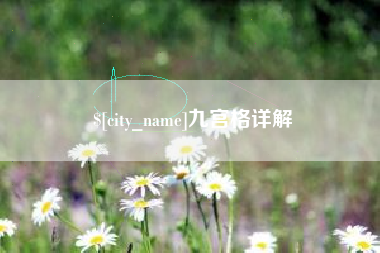宁夏九宫格详解
