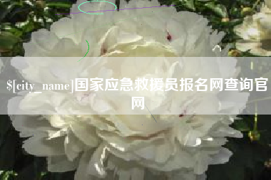 宁夏国家应急救援员报名网查询官网