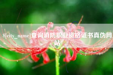 宁夏查询消防职业资格证书真伪网站