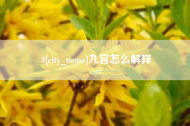 宁夏九宫怎么解释